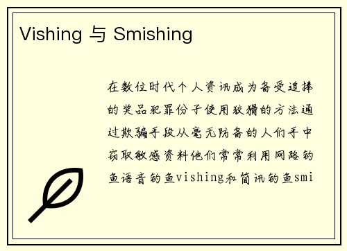 Vishing 与 Smishing 